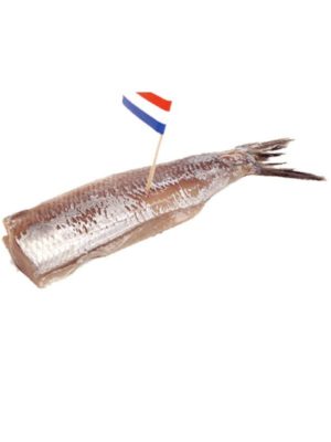 Zoute haring_800px Vis - Zoute haring